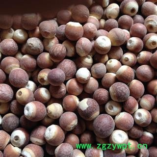 芡实 12-13厘选货 产地 广东省肇庆市德庆县图2