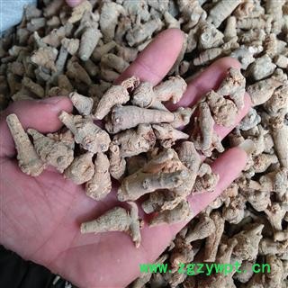 三七 三七无数头 国药堂 专注品质 产地 云南省图2