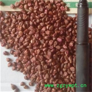 中药材批发零售供应冷背正品优质无硫葡萄籽葡萄子支持验货图2