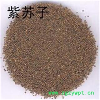 中药材籽子 苏子 白苏子 紫苏子干净无杂质 支持验货图3