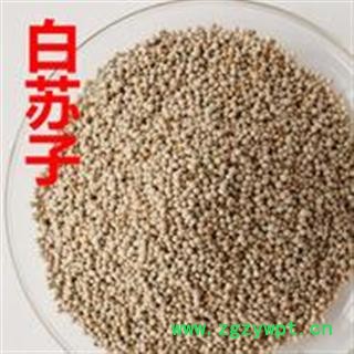 中药材籽子 苏子 白苏子 紫苏子干净无杂质 支持验货图2