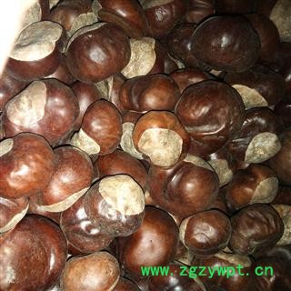 批发供应中药材【娑罗子】索罗果 工艺品 另有娑罗子片图2