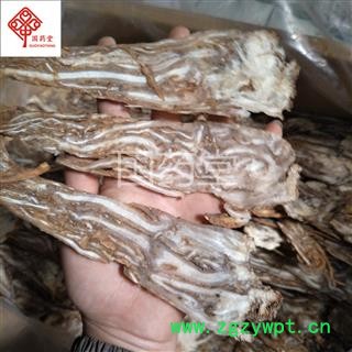 当归 当归佛手片 选 大片 国药堂 专注品质 产地 甘肃省图2