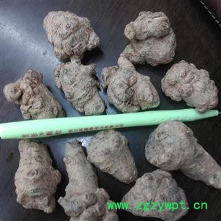 三七 2021年 40头 产地 云南省文山壮族苗族自治州文山县图2