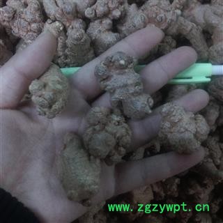 三七 2021年 40头 产地 云南省文山壮族苗族自治州文山县图3