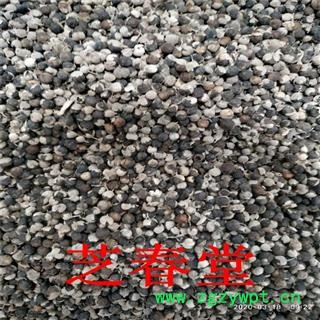 中药材批发 新货蔓荆子无硫蔓荆零售实荆子蔓青子产地货源 代磨粉图4