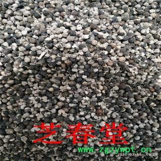 中药材批发 新货蔓荆子无硫蔓荆零售实荆子蔓青子产地货源 代磨粉图3