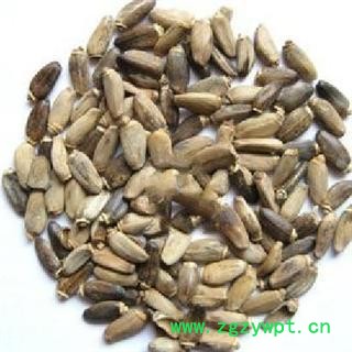 水飞蓟 选 批发零售各种规格中药材 花茶 矿石图2