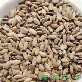 水飞蓟 选 批发零售各种规格中药材 花茶 矿石图3