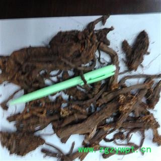 野生  羌活 统货 个子 产地 四川省阿坝藏族羌族自治州松潘县图3