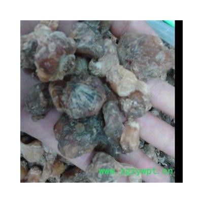 薤白 苦藠头 2021好统货 产地 四川省广元市青川县