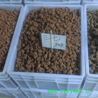 三七 80头 足干 产地 云南省文山壮族苗族自治州文山县图2