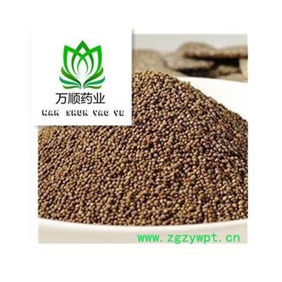 苏子 紫苏子净货 质量好 价格低  产地 山东省