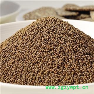 苏子 紫苏子净货 质量好 价格低  产地 山东省图2