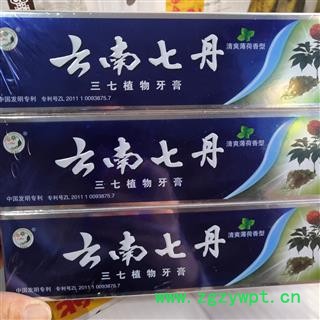 新辉药业云南三七 云南七丹 三七植物精华牙膏图2