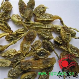 槐角 统货 产地 河北省 凯捷中药图2