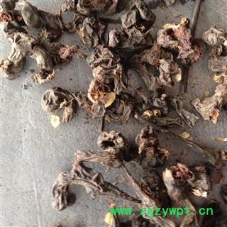 拐枣 统货 产地 安徽省 凯捷中药图2