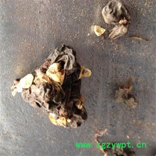 拐枣 统货 产地 安徽省 凯捷中药图4