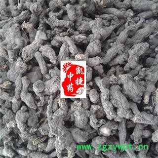 凯捷中药 天葵子 统货 产地 湖北省鄂州市鄂城区图3