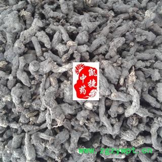 凯捷中药 天葵子 统货 产地 湖北省鄂州市鄂城区图2