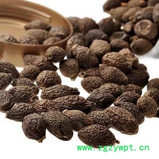 胖大海 胖大海圆粒统货 产地 海外 凯捷中药图2