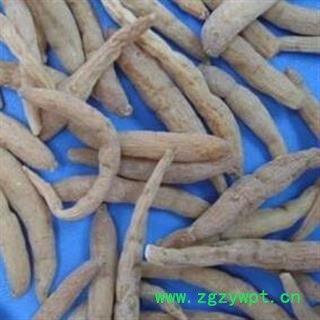 太子参 太子参中选240  产地 贵州省 国药堂 专注品质图2