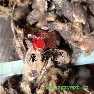 大腹皮 统货 大腹毛 软壳 产地 广西壮族自治区 凯捷中药图4