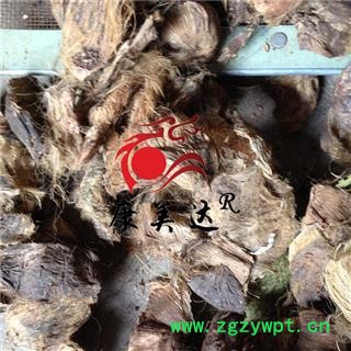 大腹皮 统货 大腹毛 软壳 产地 广西壮族自治区 凯捷中药图3