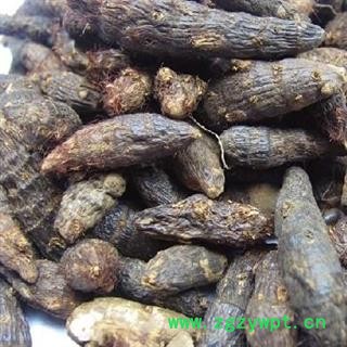 香附 光香附选个0.7 产地 海南省图2