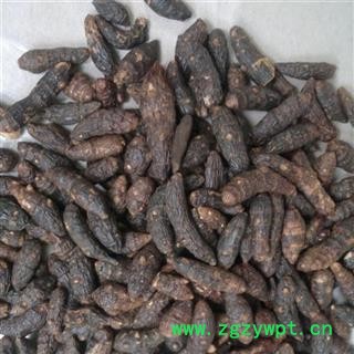 香附 光香附选个0.7 产地 海南省图3