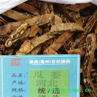 瓜蒌 全瓜蒌选货 产地 河北省邯郸市丛台区图3