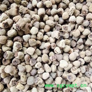 覆盆子 覆盆子统货 产地 浙江省图2