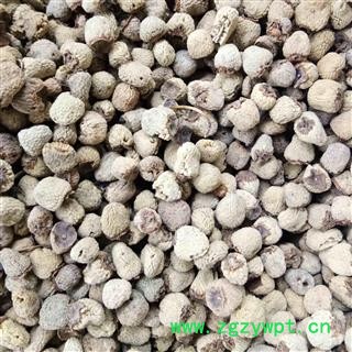 覆盆子 覆盆子统货 产地 浙江省图3