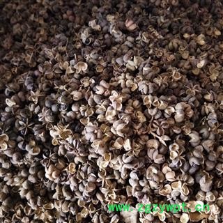 花椒 花椒药厂货 产地 湖北省图3