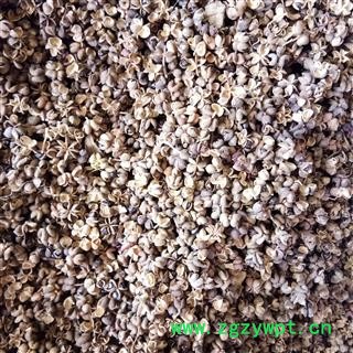 花椒 花椒药厂货 产地 湖北省图2