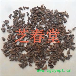 芝春堂 中药材 骆驼蓬子 骆驼蓬籽 骆驼蓬 蓬豆豆 支持验货图3