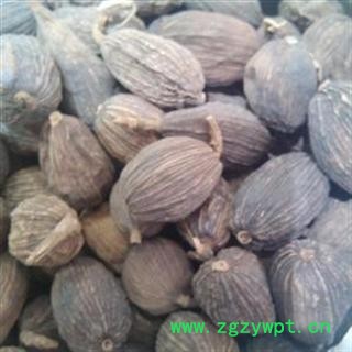 草果 统 产地 云南省 新货 批发各种中药材 花茶 矿石图2