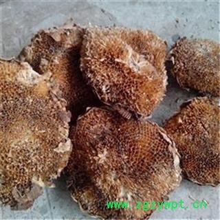向日葵花盘 向日葵茎髓 向日葵杆芯 向日葵芯 向日葵茎心 向日葵瓤 葵花茎髓 葵花秆心 葵秆心图2
