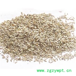 芝春堂 白苣子 白苣胜 白巨胜 白生菜子 黑生菜籽 生菜籽 黑巨胜 巨胜籽 莴苣子巨胜子 产地河北图2