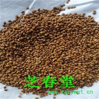 芝春堂 跌打豆 拐子豆 贼老豆 华佗豆 小偷豆 白捻豆 量大从优图3