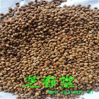 芝春堂 跌打豆 拐子豆 贼老豆 华佗豆 小偷豆 白捻豆 量大从优图4