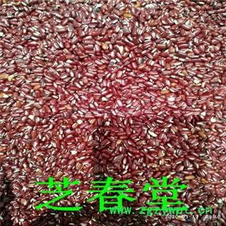 道地中药材无硫磺新货 道地赤小豆长粒赤小豆 代磨粉图3