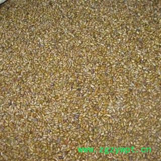 【草决明 决明子】枕头枕芯填充 儿童沙滩决明子 产地直销图3