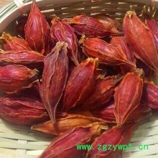 栀子 选 批发各种栀子 产地 浙江省图2