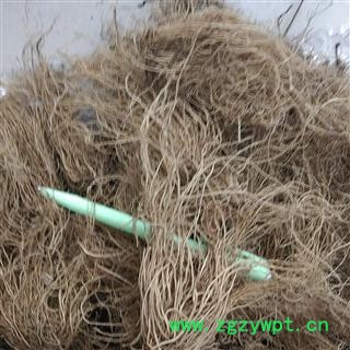 无硫辽细辛 北细辛 水洗净根 2021年新货  产地 辽宁省铁岭市西丰县图2