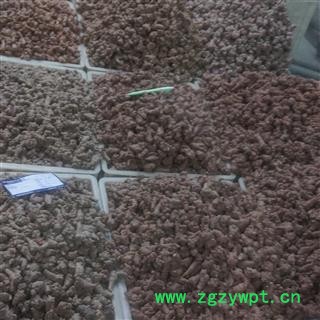 三七 2021年 40头 产地 云南省文山壮族苗族自治州文山县图4