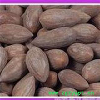 小榧子 正品 新货 优质 批发零售各种药材 花茶 矿石图2