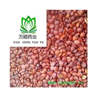 酸枣仁 国产酸枣仁98货 质量好 价格低  产地 山东省