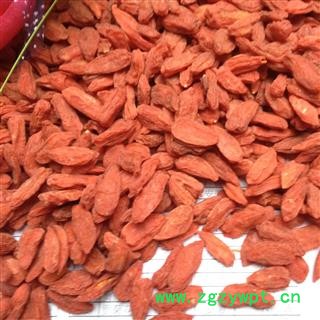 枸杞 青海枸杞380 产地 青海省图2