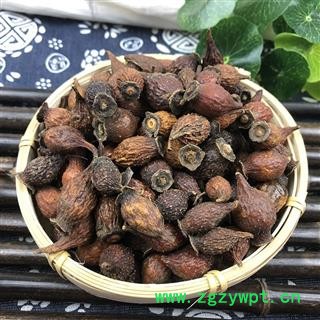 金樱子 金樱子前期统货 产地 江西省图3